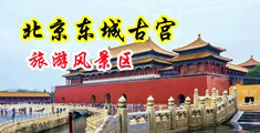 黄色美女扣逼视频中国北京-东城古宫旅游风景区